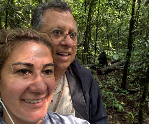 Gorilla trekking
