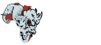 Kubwa Five Safaris